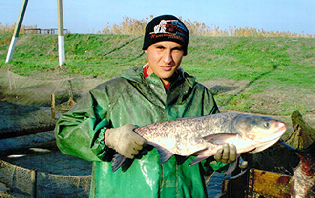 База отдыха "Карлык"